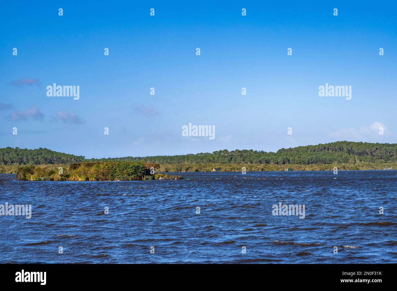 Le lac de Léon dans le département des Landes de Nouvelle-Aquitaine, France Banque D'Images