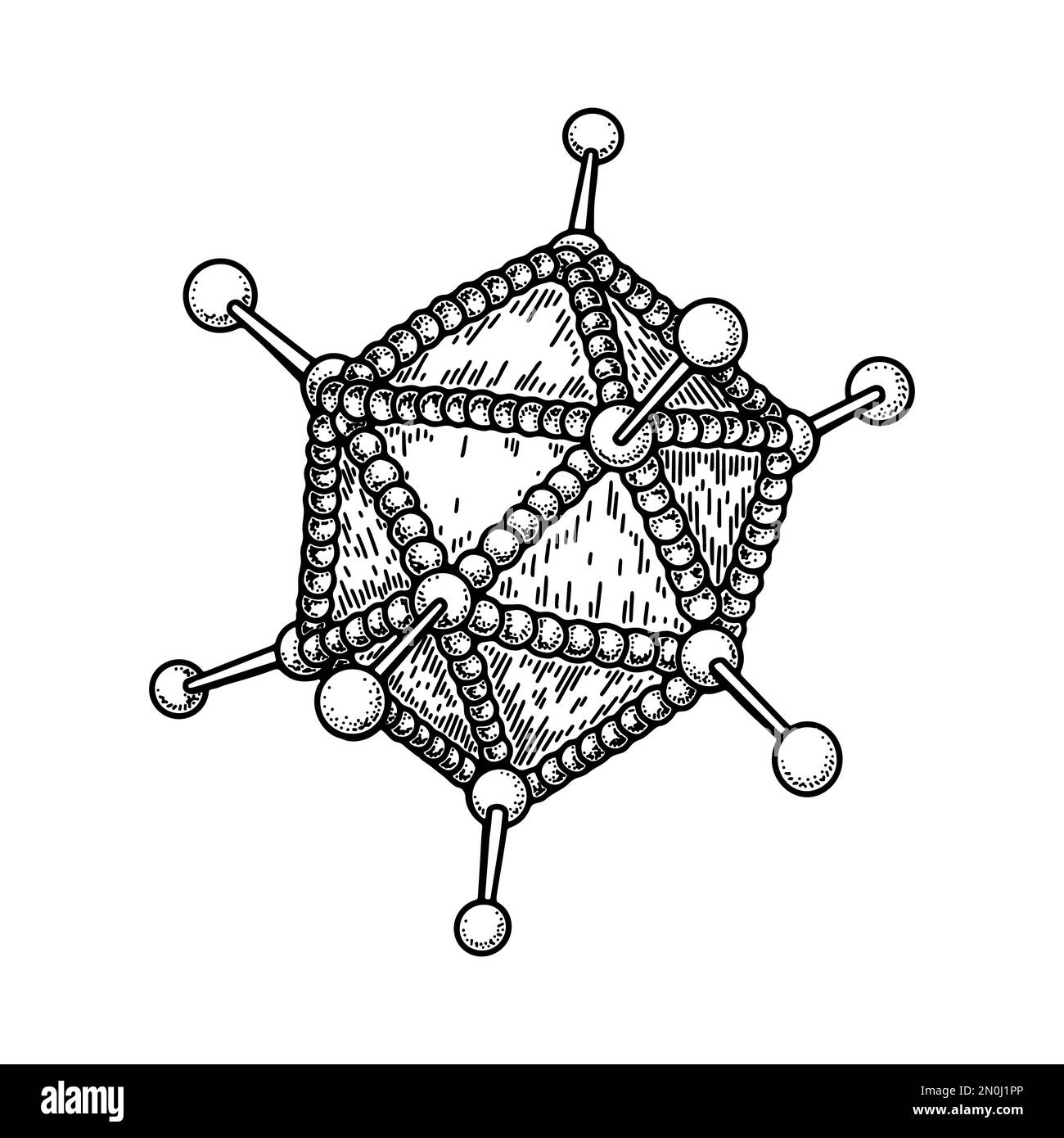 Adénovirus isolé sur fond blanc. Illustration vectorielle scientifique détaillée et réaliste, dessinée à la main, en style d'esquisse Illustration de Vecteur