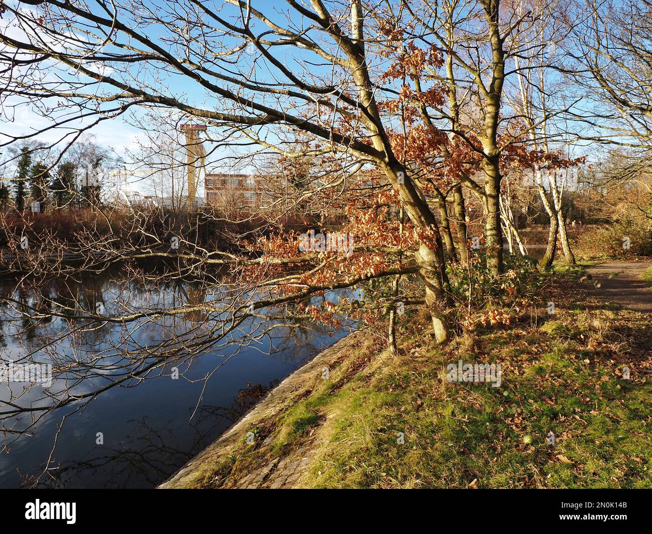 Soleil d'hiver au Victoria Park Belfast Banque D'Images