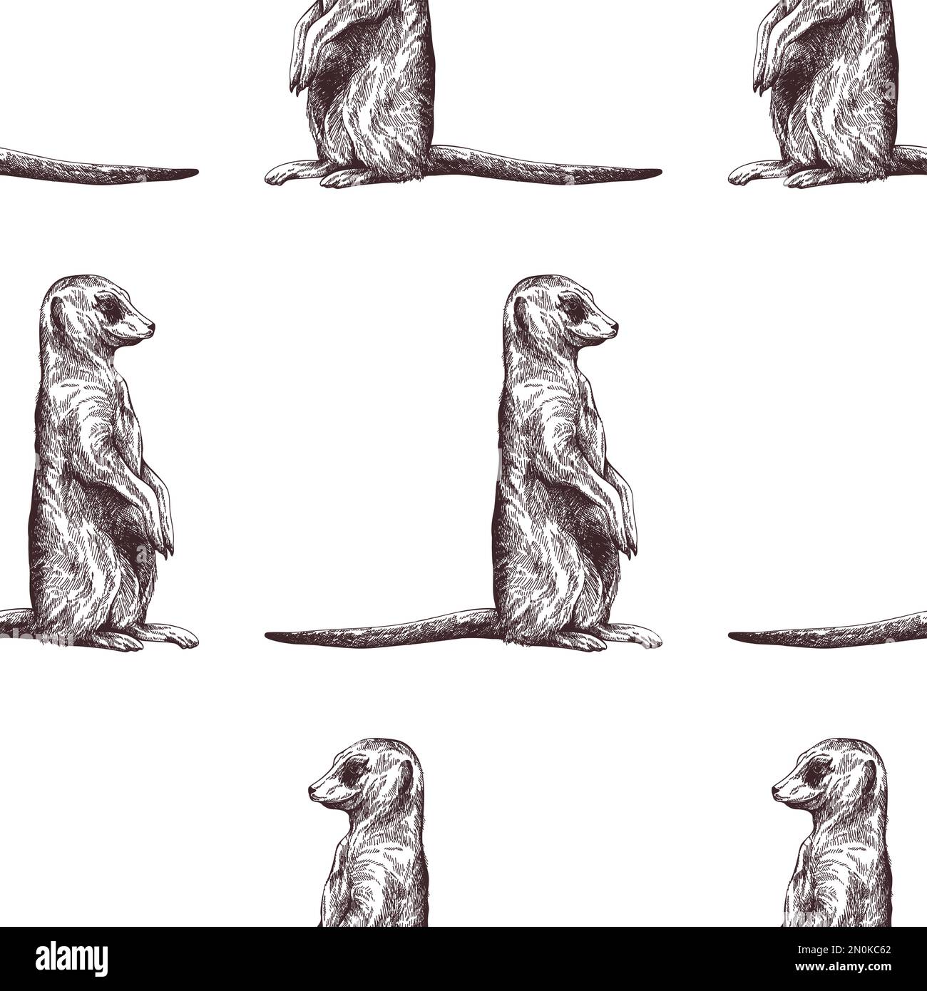 Motif sans couture de style d'esquisse dessiné à la main Meerkats isolé sur fond blanc. Illustration vectorielle. Illustration de Vecteur