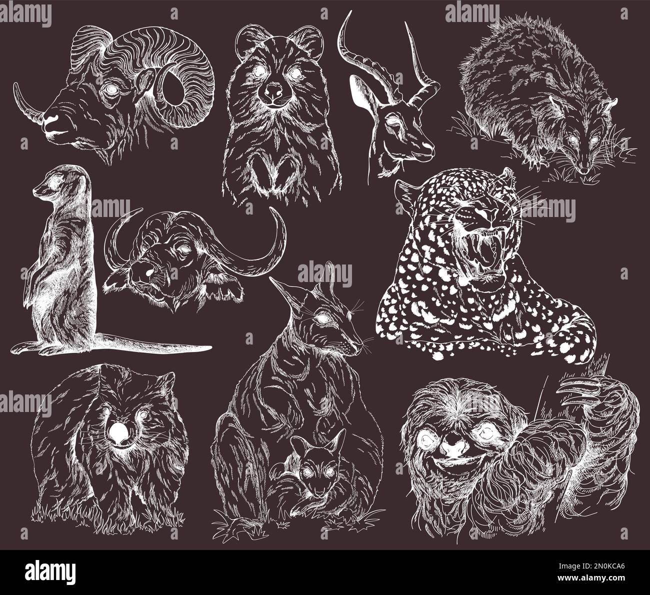 Ensemble d'animaux dessinés à la main isolés sur fond sombre. Illustration vectorielle. Illustration de Vecteur