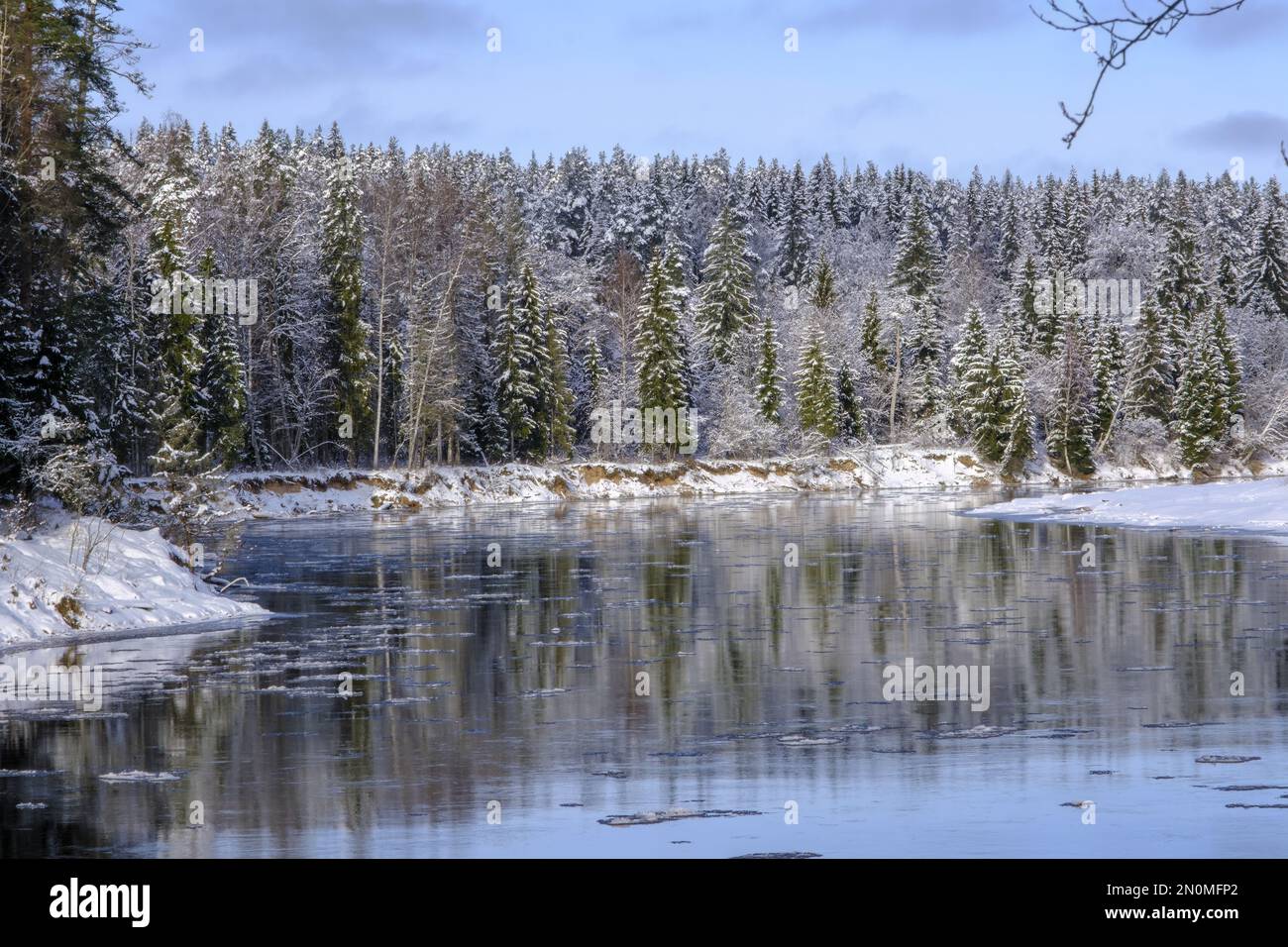 La plus longue rivière de Lettonie. Paysage avec rivière en hiver, rive de rivière entourée d'arbres, jour d'hiver, parc national de Gauja. Lettonie Banque D'Images