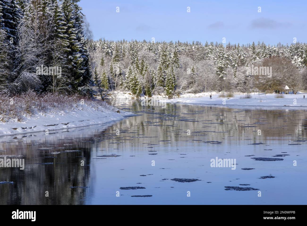 La plus longue rivière de Lettonie. Paysage avec rivière en hiver, rive de rivière entourée d'arbres, jour d'hiver, parc national de Gauja. Lettonie Banque D'Images
