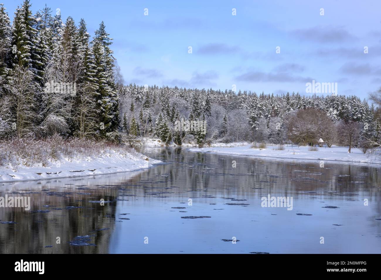 La plus longue rivière de Lettonie. Paysage avec rivière en hiver, rive de rivière entourée d'arbres, jour d'hiver, parc national de Gauja. Lettonie Banque D'Images