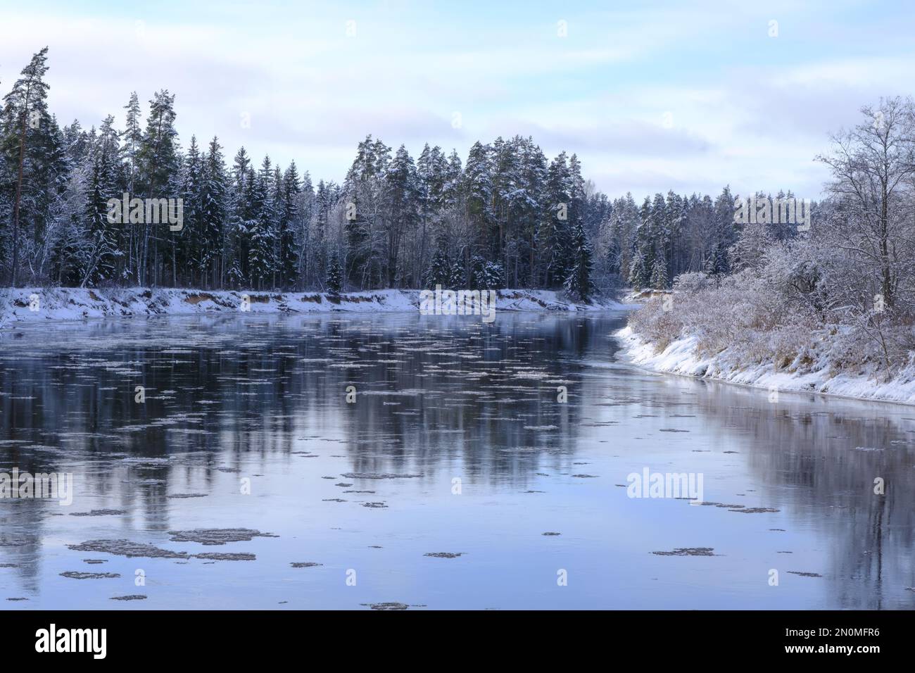 La plus longue rivière de Lettonie. Paysage avec rivière en hiver, rive de rivière entourée d'arbres, jour d'hiver, parc national de Gauja. Lettonie Banque D'Images
