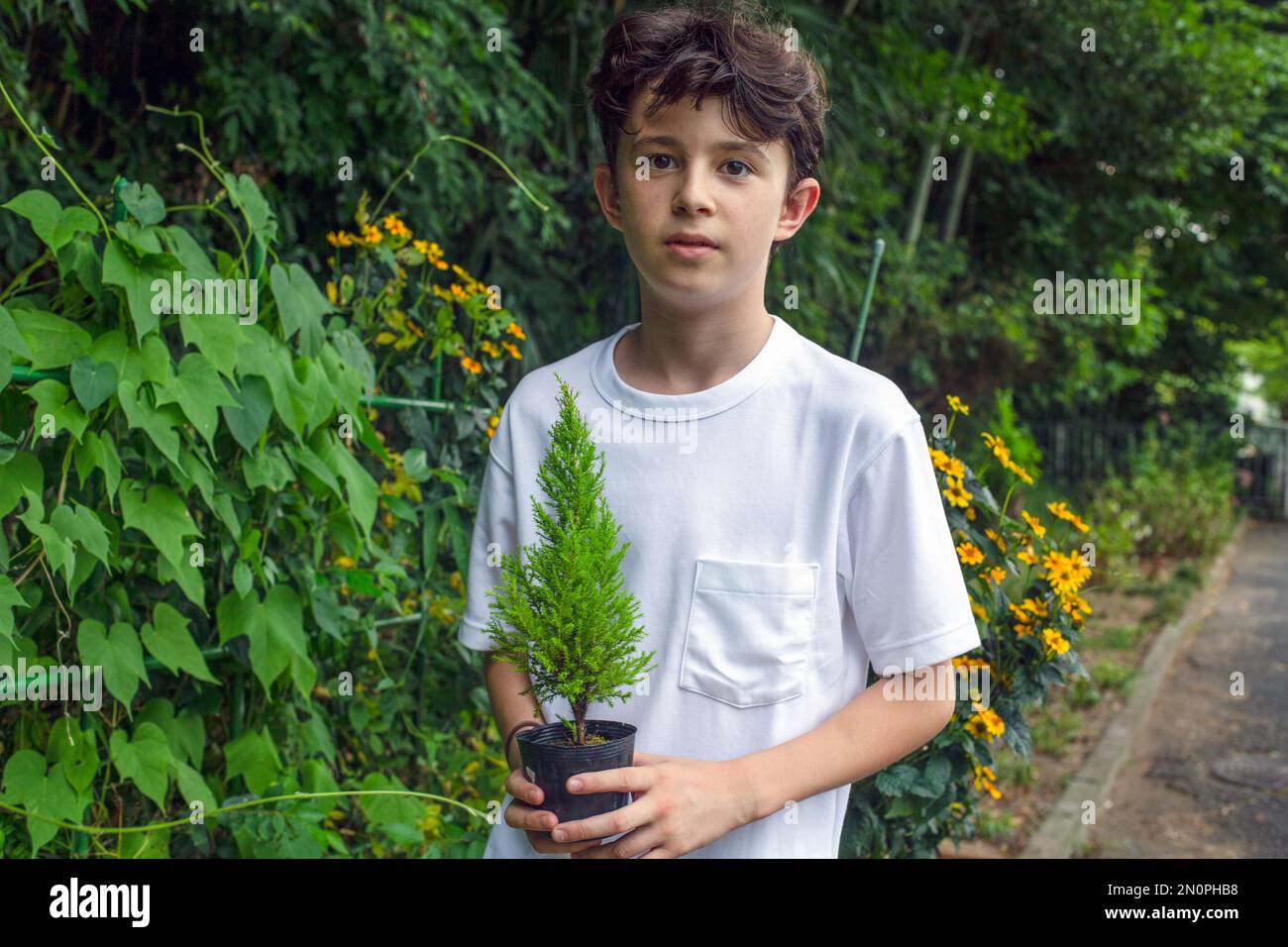 Un garçon tenant un petit arbre dans un pot, debout dans un jardin. Banque D'Images
