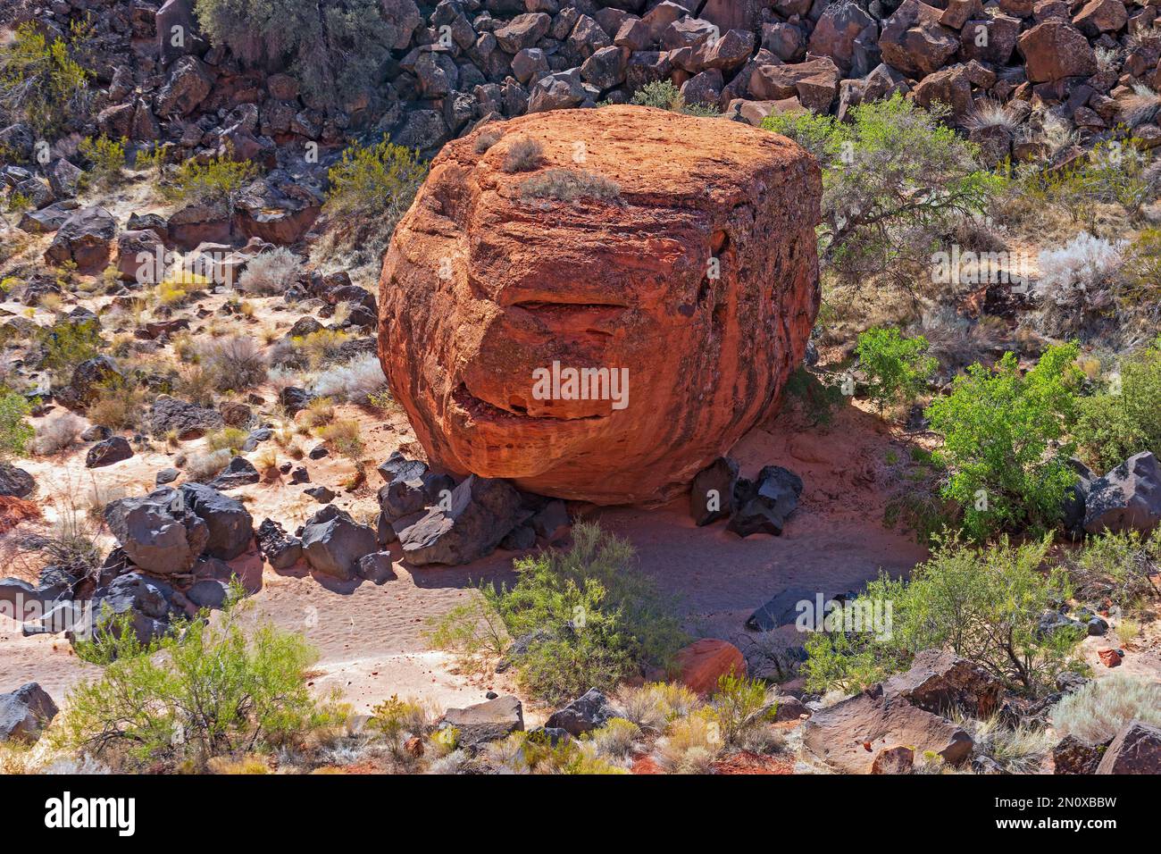 Rock insolite dans un lit de ruisseau séché dans le parc national de Snow Canyon dans l'Utah Banque D'Images