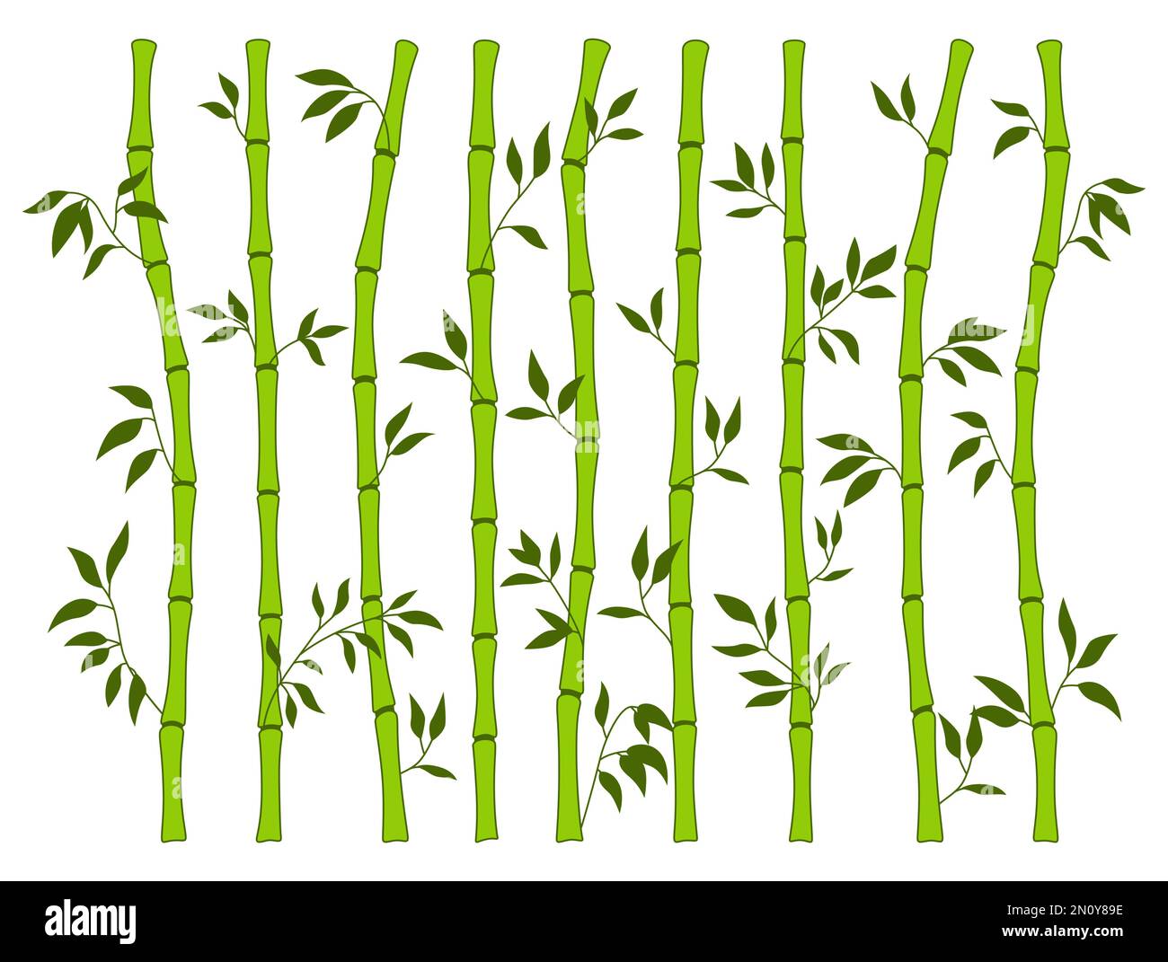 Ensemble de bordures de feuilles et de tiges vertes en bambou. Éléments de décoration exotiques plante naturelle fraîche en ligne de style plat. Dessin à la main peint asiatique traditionnel feuilles et bâtons bambou collection botanique Illustration de Vecteur