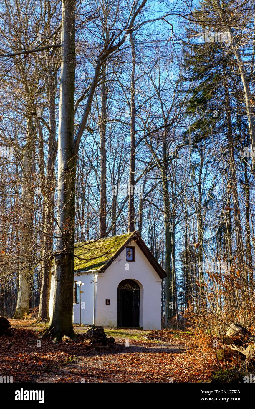 Sentier naturel du château, sur le Schatzberg près de Dießen am Ammersee, Fünfseenland, haute-Bavière, Bavière, Allemagne, Europe Banque D'Images