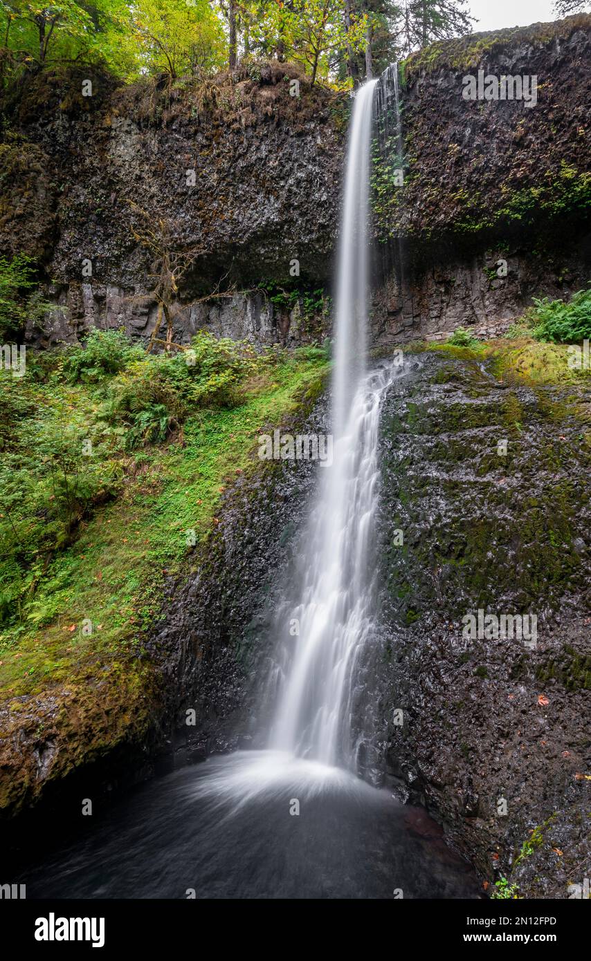 Cascade, chutes d'hiver, végétation dense en automne, parc national de Silver Falls, Oregon, États-Unis, Amérique du Nord Banque D'Images