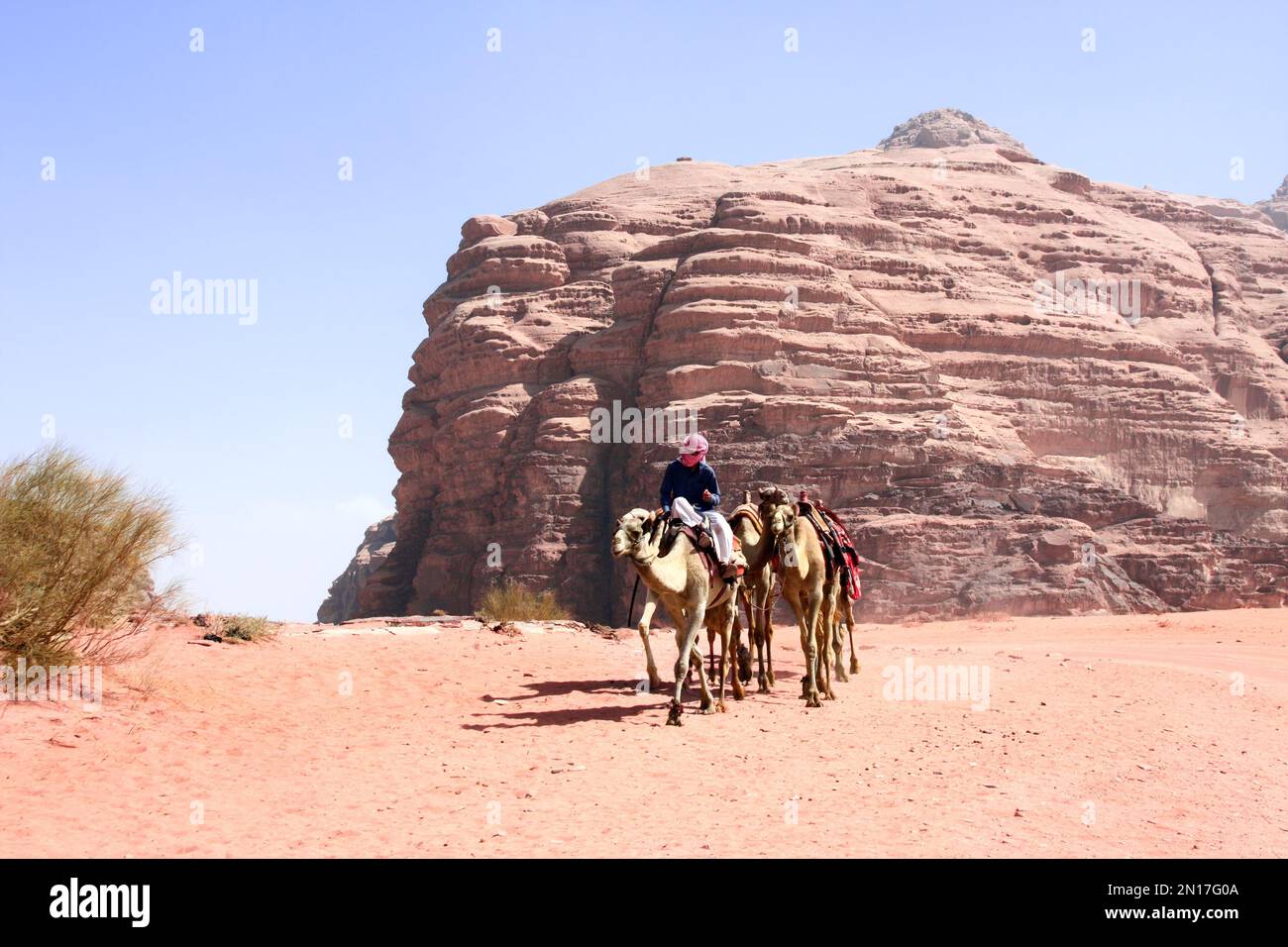 Bédouin avec caravane de chameaux, promenade dromadaire en tout-terrain sur le sable parmi les rochers dans le désert de Wadi Rum, Jordanie. Paysage désertique avec chameaux, sable rouge a Banque D'Images