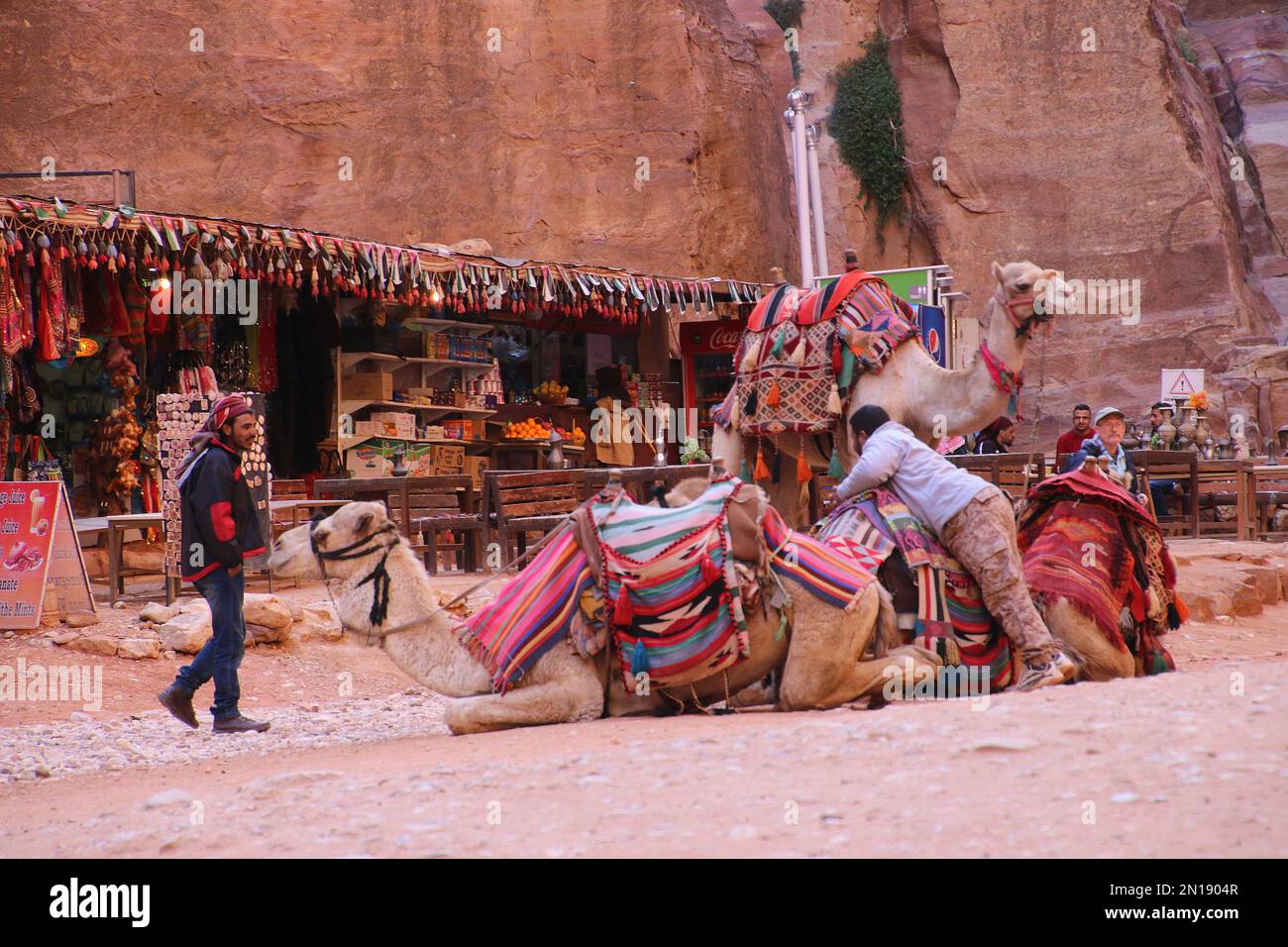 Chameaux au repos devant le Trésor, Petra, Jordanie Banque D'Images