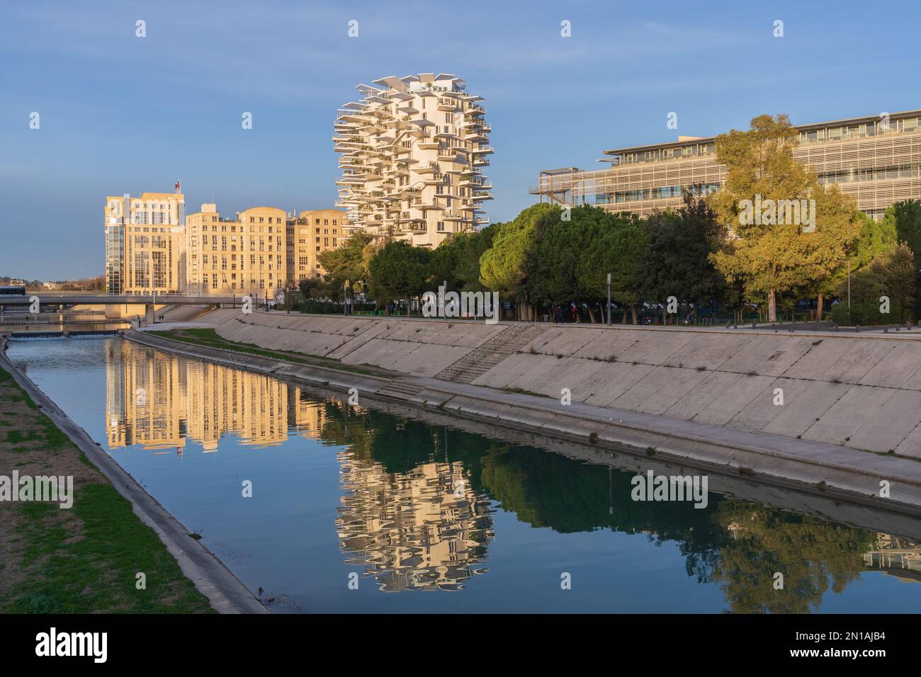 Montpellier, France - 01 12 2022 : vue sur le paysage urbain de la bibliothèque universitaire, de l'arbre blanc et de la salle provinciale bâtiments d'architecture moderne avec réflexion Banque D'Images