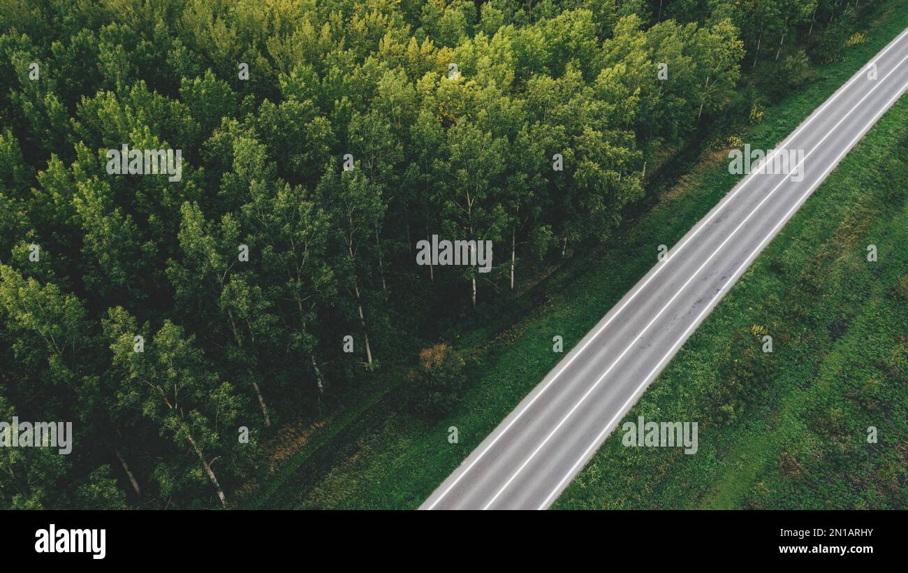 Photo aérienne de l'autoroute à deux voies à travers le bois de peuplier vert de drone pov, vue en grand angle Banque D'Images