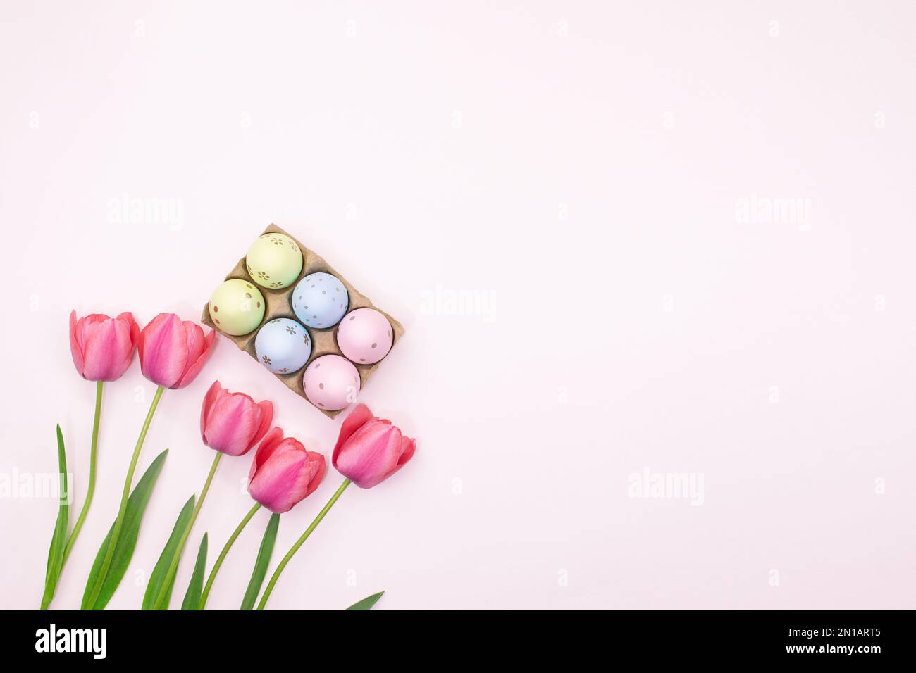 Tulipes roses avec panier d'oeufs de couleur dans le coin avec place pour le texte. Pâques. Arrière-plan pastel. Copier l'espace Banque D'Images