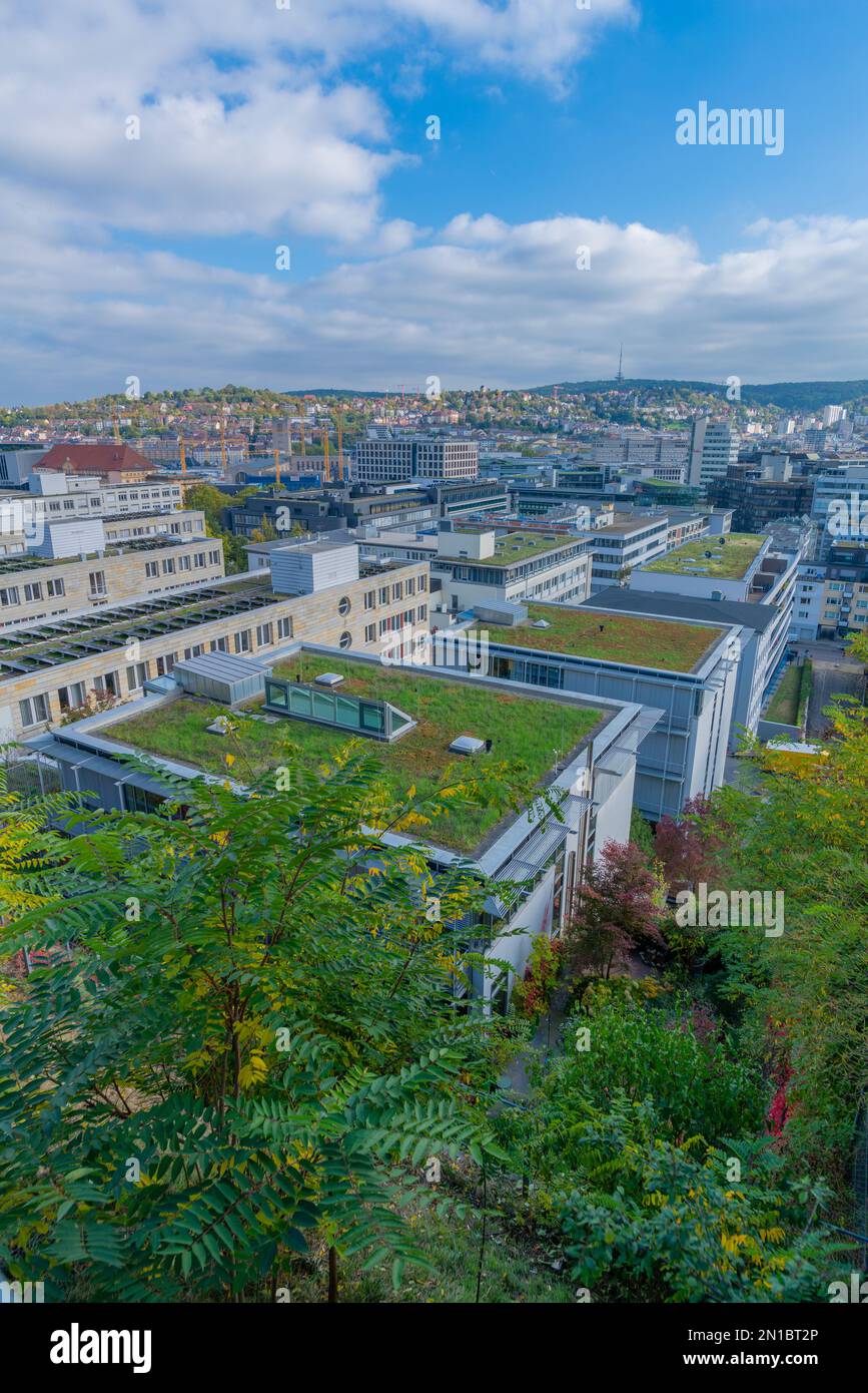 Verdissement du toit sur des bâtiments à toit plat à Kronenstaffel, Stuttgart, Bade-Wurtemberg, Allemagne du Sud, Europe Banque D'Images