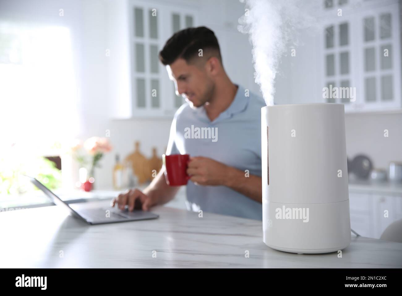 Homme utilisant un ordinateur portable dans la cuisine avec humidificateur d'air moderne Banque D'Images