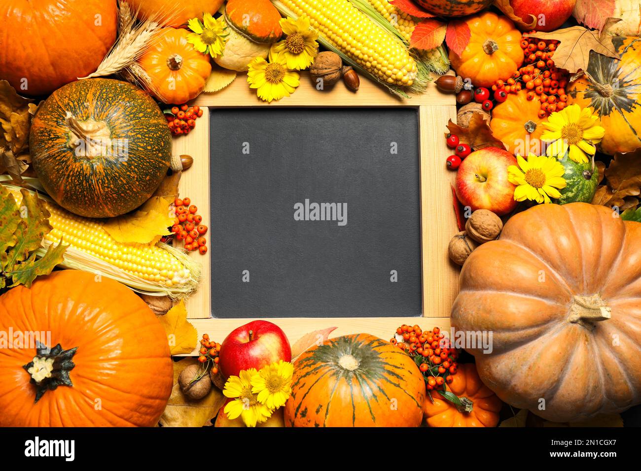 Composition de tableau noir vierge avec espace pour le texte, citrouilles mûres et feuilles d'automne comme arrière-plan, vue de dessus. Bonne journée de Thanksgiving Banque D'Images