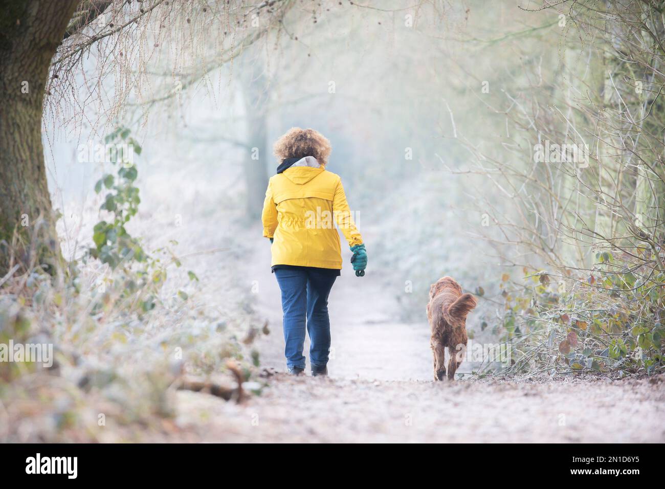 Kidderminster, Royaume-Uni. 6th février 2023. Météo au Royaume-Uni : un début de journée très froid avec un temps plus dur à suivre. Les marcheurs du matin peuvent encore se promener le matin, mais tout est plus blanc avec un gel dur. Crédit : Lee Hudson/Alay Live News Banque D'Images