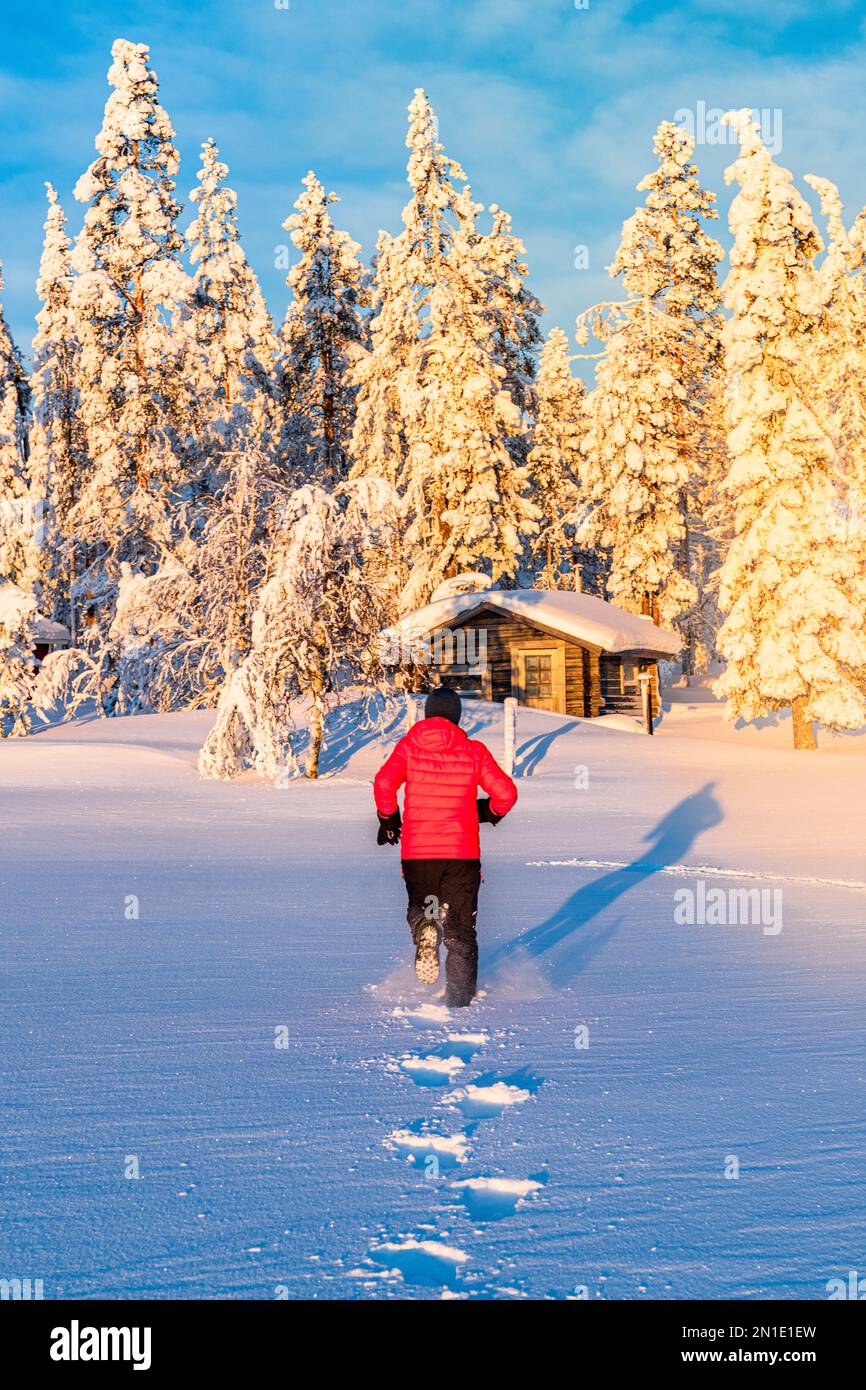 Personne qui court dans la neige profonde vers un chalet en bois et dans la forêt, Kangos, Comté de Norrbotten, Laponie, Suède, Scandinavie, Europe Banque D'Images