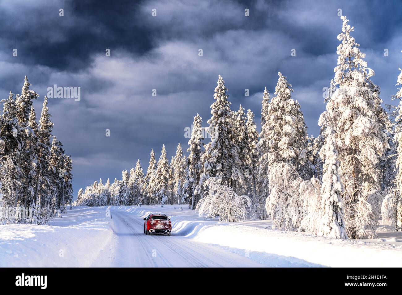 Voiture sur route glissante entourée d'arbres enneigés dans une forêt gelée, Kangos, Comté de Norrbotten, Laponie, Suède, Scandinavie, Europe Banque D'Images