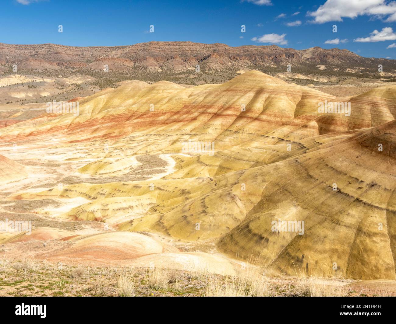 The Painted Hills, classé parmi les sept merveilles de l'Oregon, John Day Fossil Beds National Monument, Oregon, États-Unis d'Amérique Banque D'Images