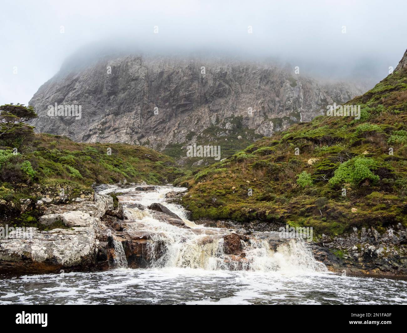 Vue sur une cascade dans la forêt de Notofagus à Caleta Capitan Canepa, Isla Estado (Isla de Los Estados), Argentine, Amérique du Sud Banque D'Images