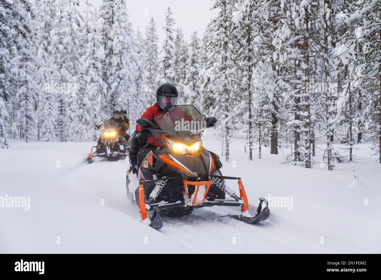 Trois personnes conduisant des motoneiges encadrées par des arbres gelés dans la forêt enneigée, Laponie, Suède, Scandinavie, Europe Banque D'Images