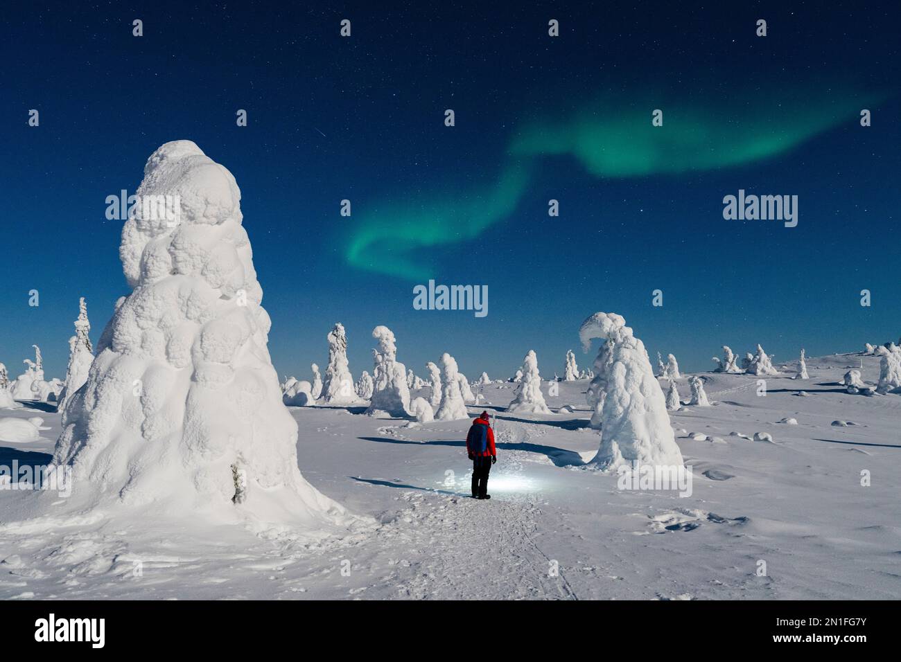Randonneur admirant le ciel avec Aurora borealis (aurores boréales) debout dans la forêt gelée, Parc national de Riisitunturi, Posio, Laponie, Finlande Banque D'Images