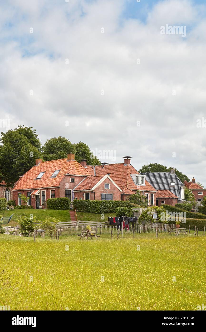 Vue d'été du petit village terp néerlandais Niehove dans la province de Groningen, aux pays-Bas Banque D'Images