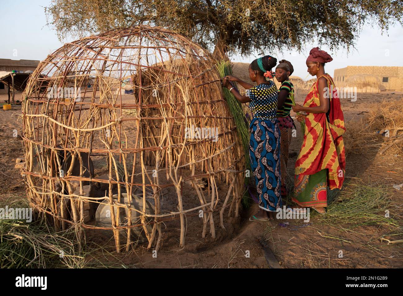 Les femmes de Peul construisent une cabane dans un village de Peul dans le nord du Sénégal, Afrique de l'Ouest, Afrique Banque D'Images