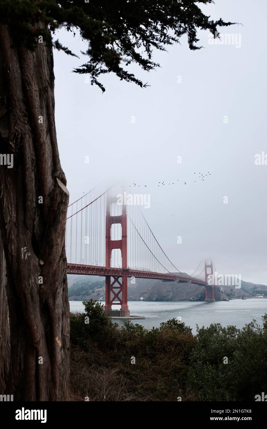 Le Golden Gate Bridge, San Francisco Banque D'Images