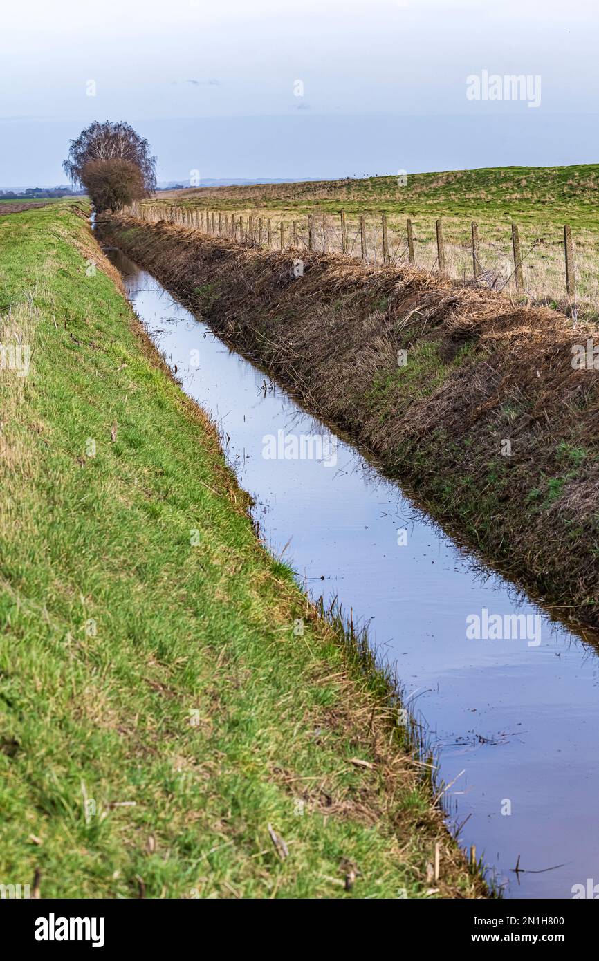 Lincolnshire - Un fossé de drainage d'eau bien entretenu, ou drain, sur le bord du champ d'un fermier Banque D'Images