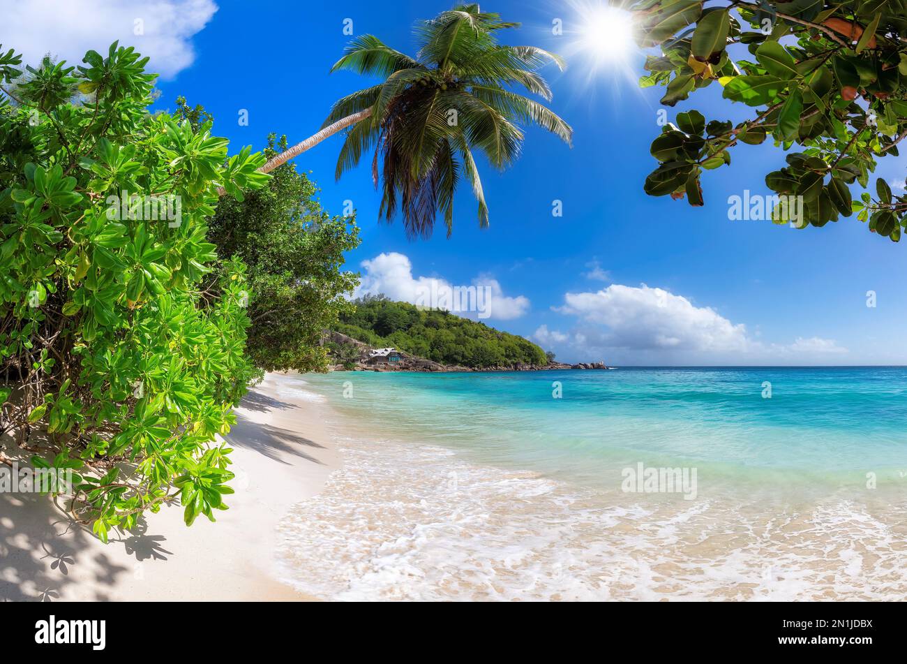 Plage tropicale ensoleillée et cocotiers sur sable blanc dans l'île des Seychelles. Banque D'Images
