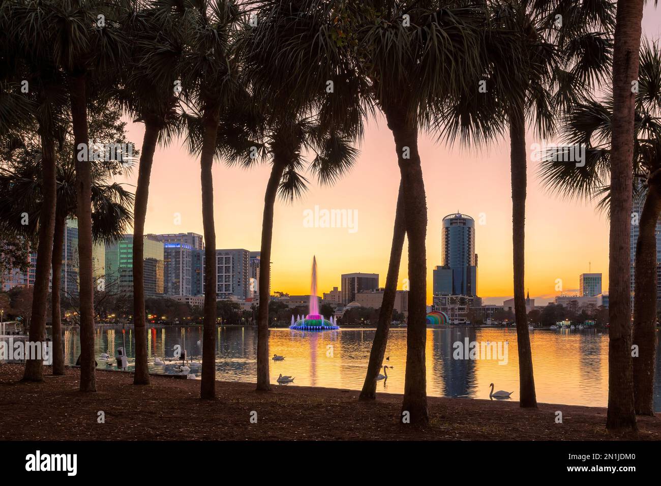 Palmiers au coucher du soleil dans le parc du lac Eola avec fontaine dans la ville d'Orlando, Floride, États-Unis. Banque D'Images