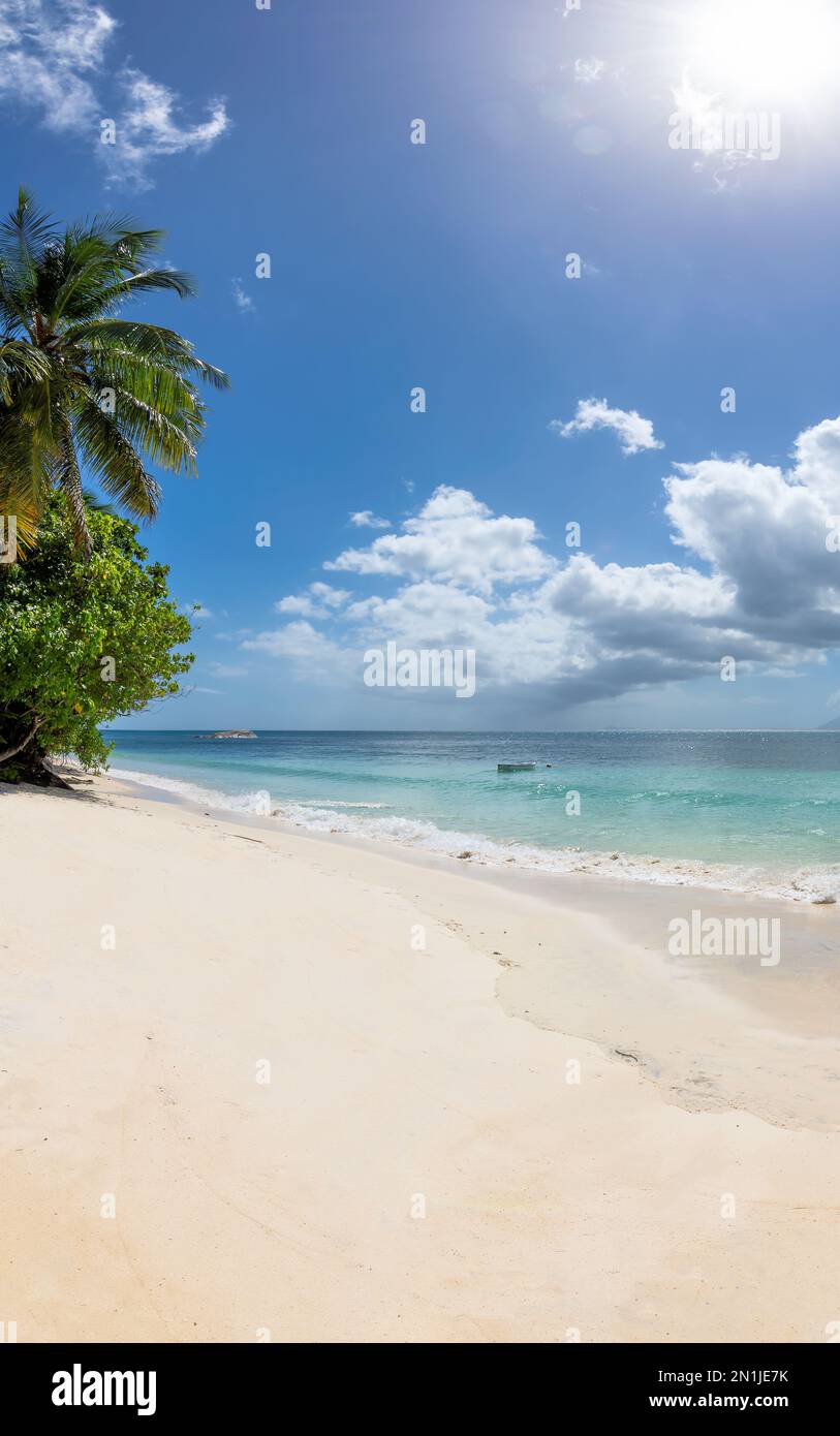 Plage tropicale ensoleillée avec palmiers sur sable blanc et mer tropicale dans l'île paradisiaque. Banque D'Images