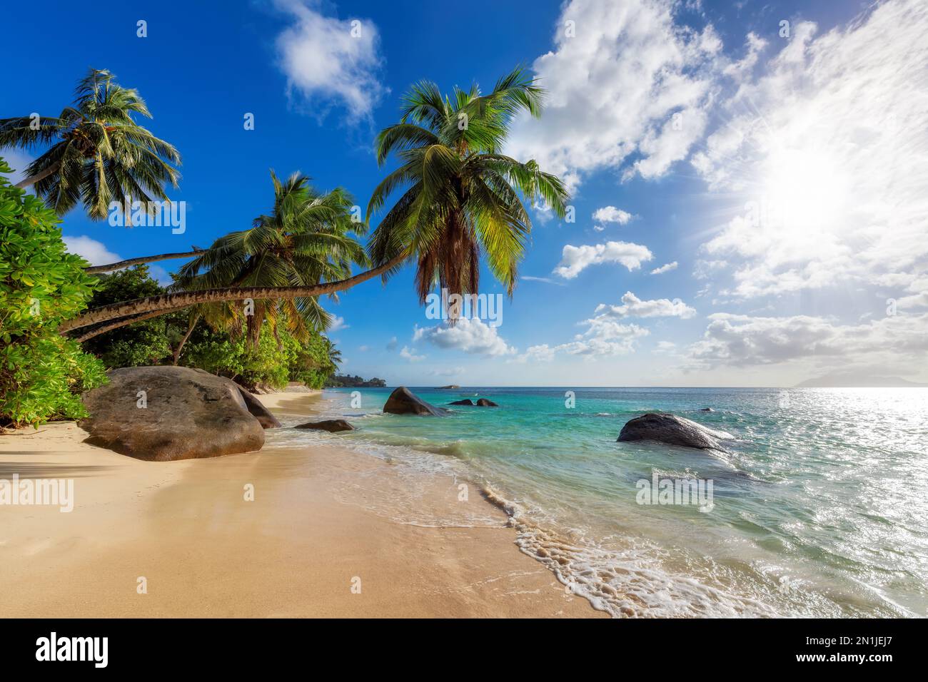 Tropical Sunny plage et mer, cococotiers et de belles roches dans l'île des Seychelles. Banque D'Images