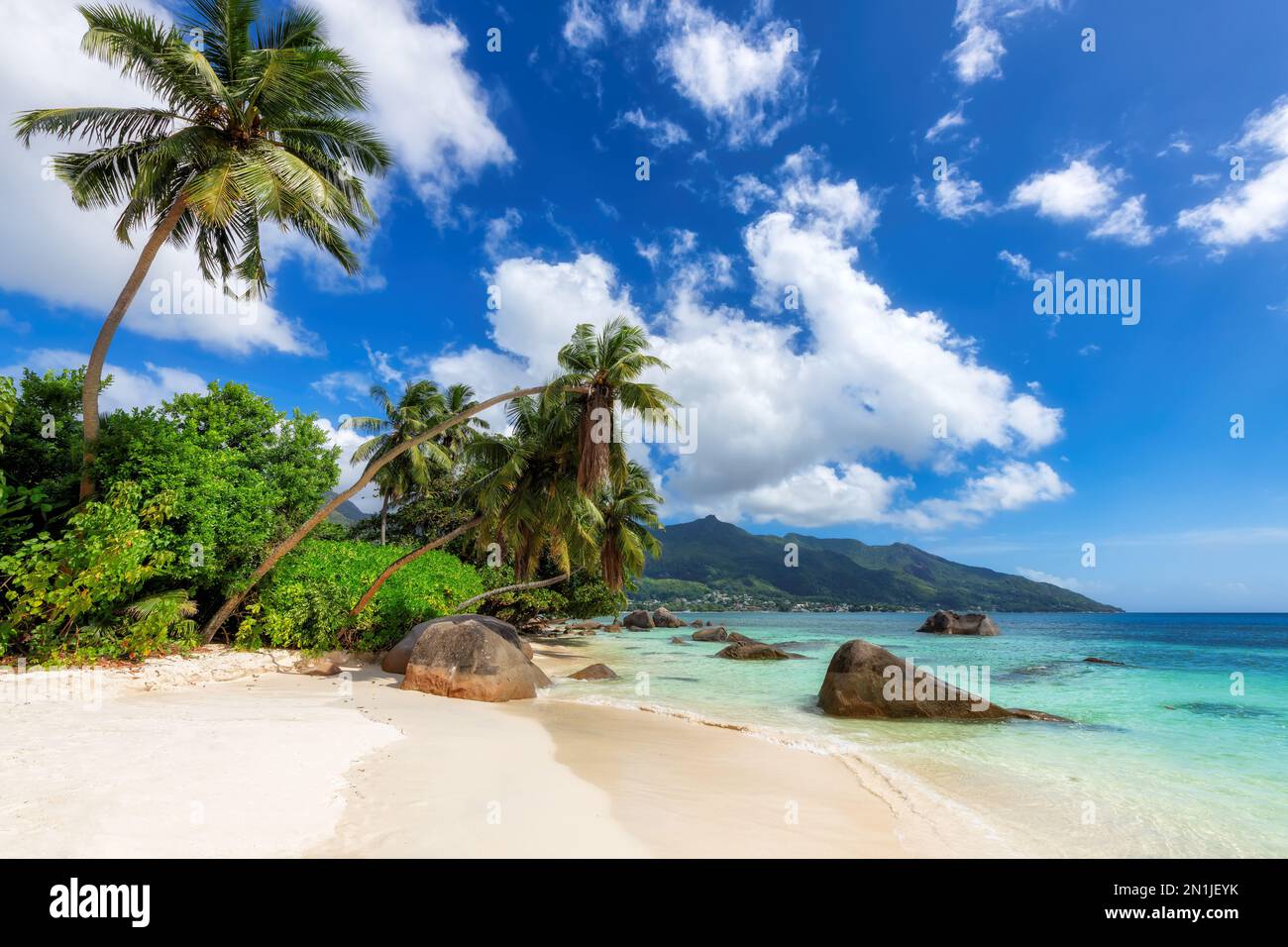 Tropical Sunny plage, belles roches et cocotiers sur le sable blanc dans Seychelles Paradise Island. Banque D'Images