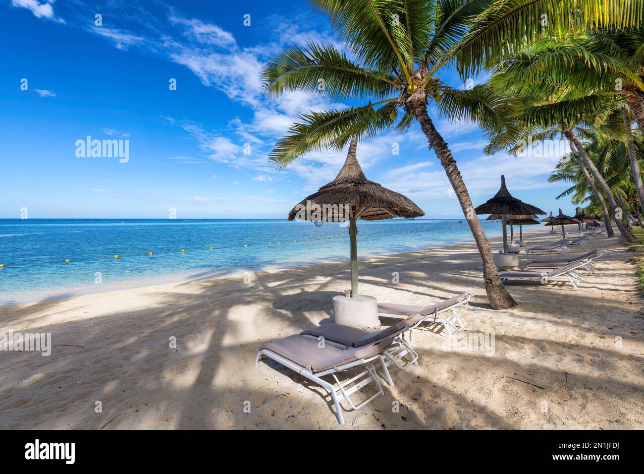 Palmiers dans une plage tropicale ensoleillée dans une station tropicale et mer tropicale dans l'île Maurice. Banque D'Images
