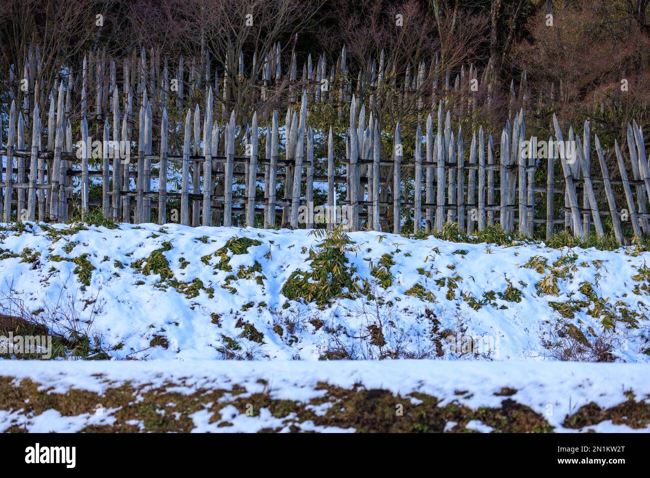 Les piquets en bois affûtés forment un périmètre défensif sur une colline enneigée Banque D'Images
