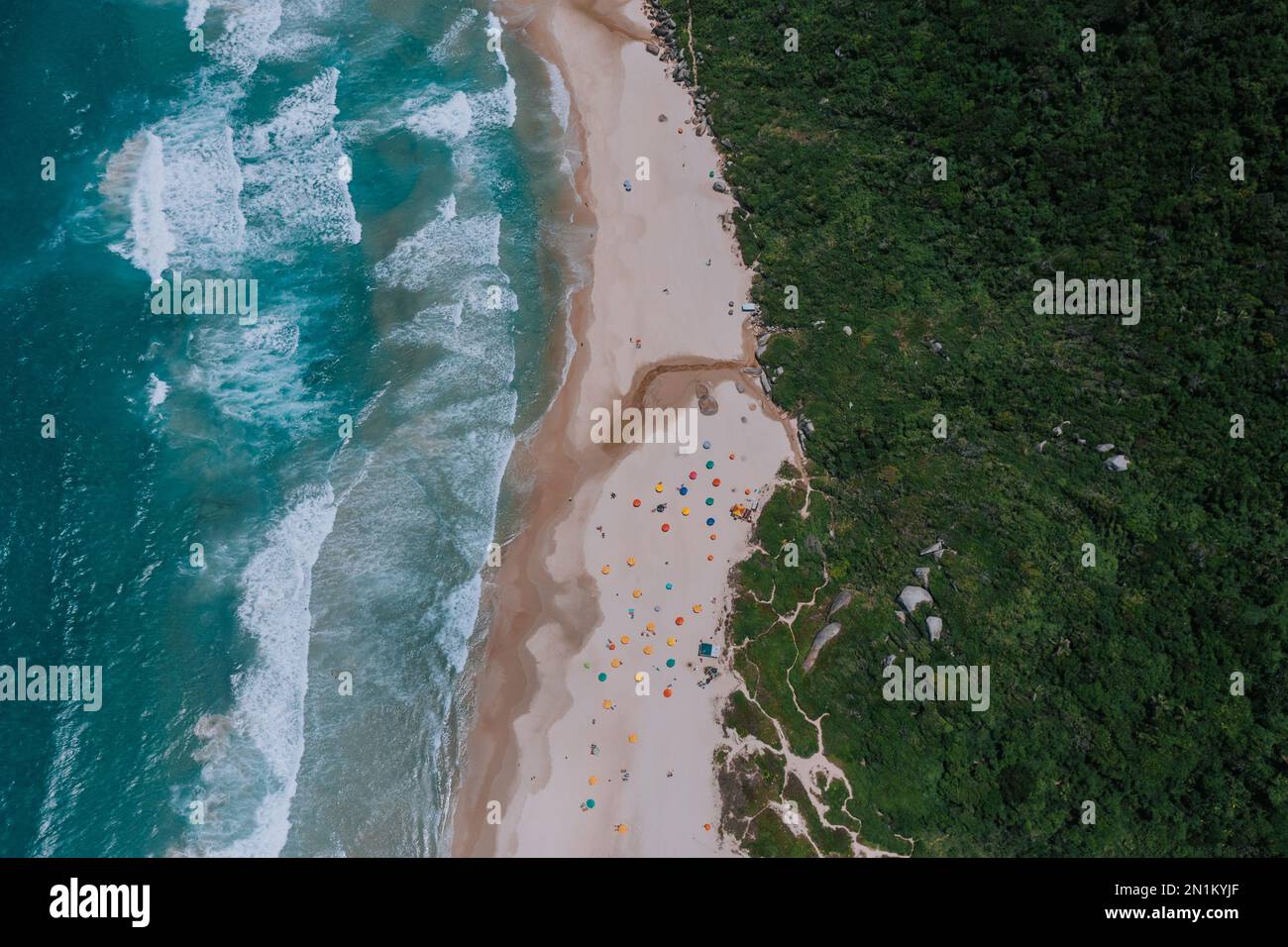 Der Strand Praia da Galheta von oben fotografiert. Viele Sonnenschirme direkt am Meer und daneben Tropischer Wald. Banque D'Images