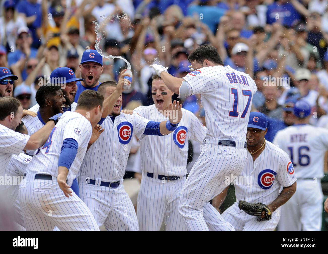 Chicago Cubs' Kris Bryant celebrates his walk off home run to end a baseball game against the Cleveland Indians on Monday, Aug. 24, 2015, in Chicago. The Cubs beat the Indians 2-1. (AP Photo/Matt Marton) Banque D'Images