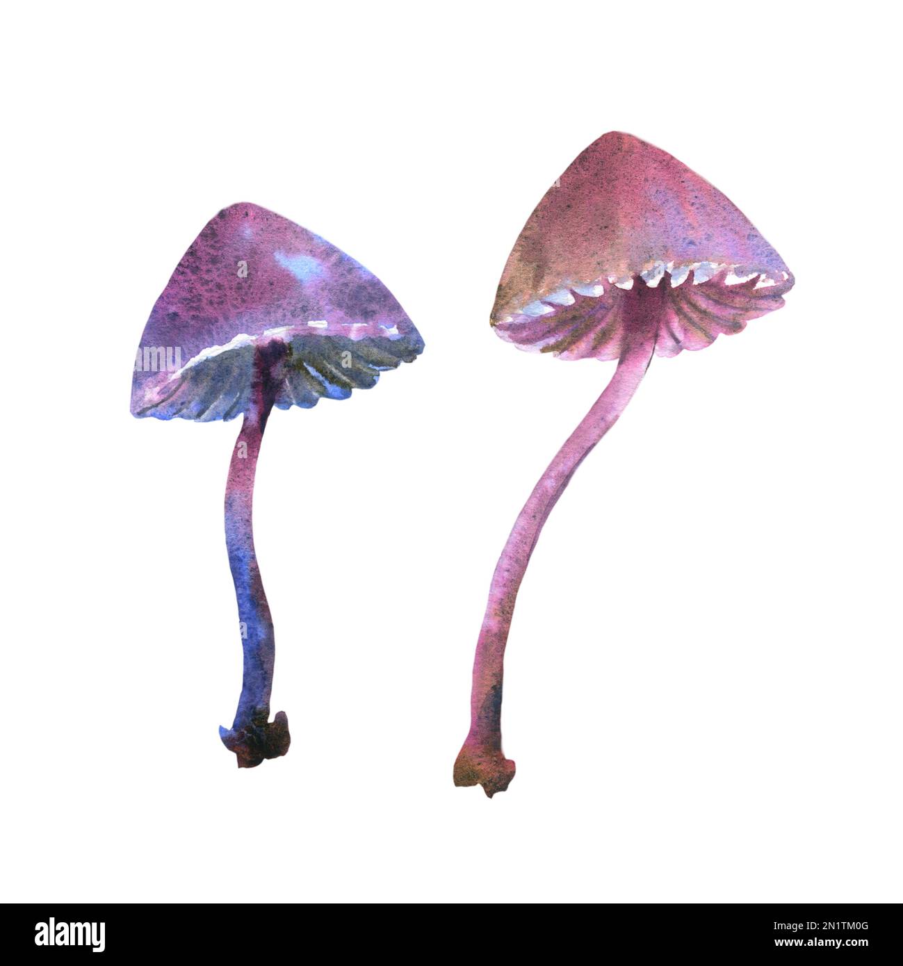 Illustration aquarelle, champignons toxiques fantaisie d'Halloween, isolés sur fond blanc Banque D'Images