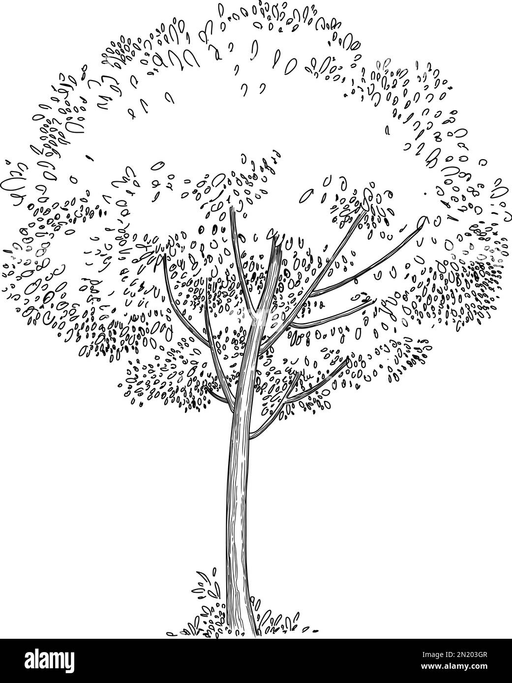 Contour de l'icône de forêt d'arbres végétaux, vecteur tracé à la main. Dessin de jardin Illustration de Vecteur