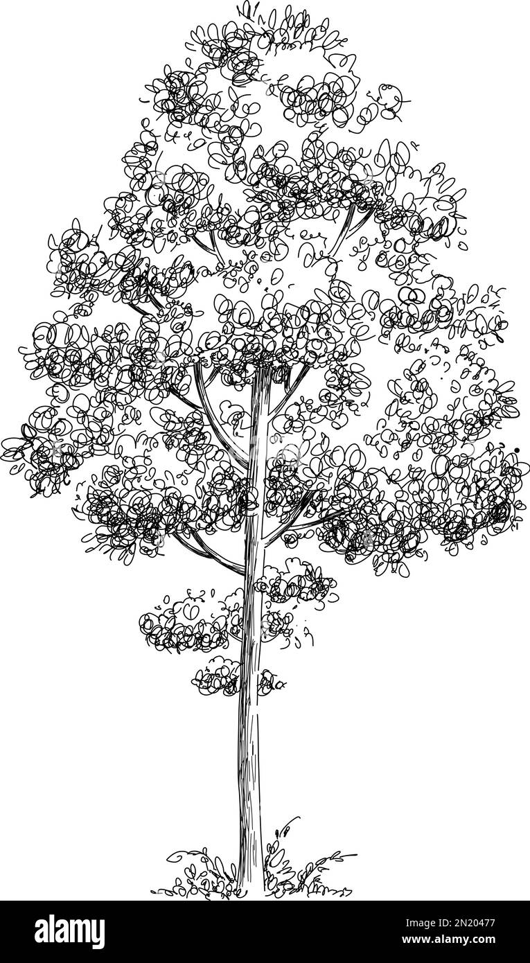 Contour de l'icône de forêt d'arbres végétaux, vecteur tracé à la main. Dessin de jardin Illustration de Vecteur