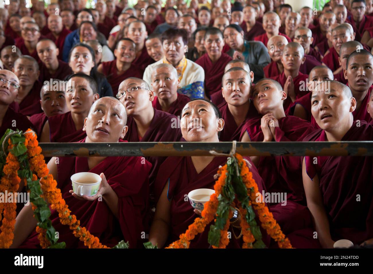 Exile Tibetan Buddhist nuns watch their spiritual leader the Dalai Lama on a TV during an official prayer ceremony to celebrate his 80th birthday in Dharmsala, India, Sunday, June 21, 2015. The Dalai Lama was born on July 6 according to the Gregorian calendar but his birthday this year falls on June 21 according to the lunar calendar followed traditionally by Tibetans. (AP Photo/Ashwini Bhatia) Banque D'Images