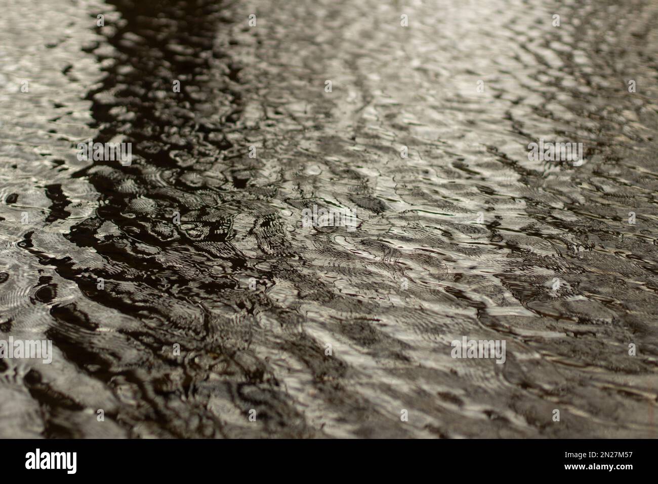 Vagues sur l'eau. Vent sur la surface de l'eau. Réflexion dans la flaque. Détails de la nature au printemps. Banque D'Images