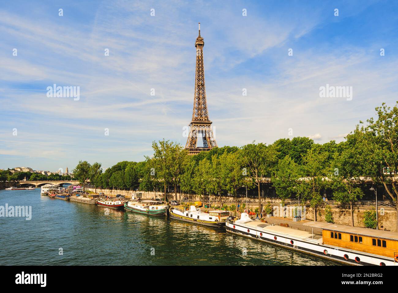 La Tour Eiffel sur la rive gauche de la seine à paris, france Banque D'Images