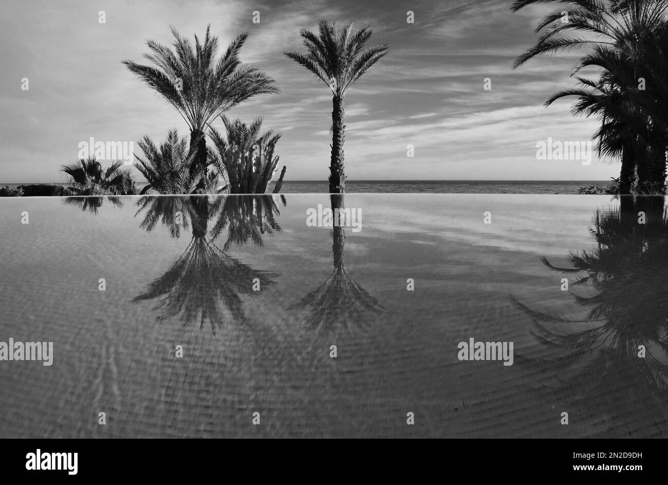 Groupe de palmiers se reflétant dans la piscine en face de la mer, Cala Panizo, Andalousie, Espagne Banque D'Images