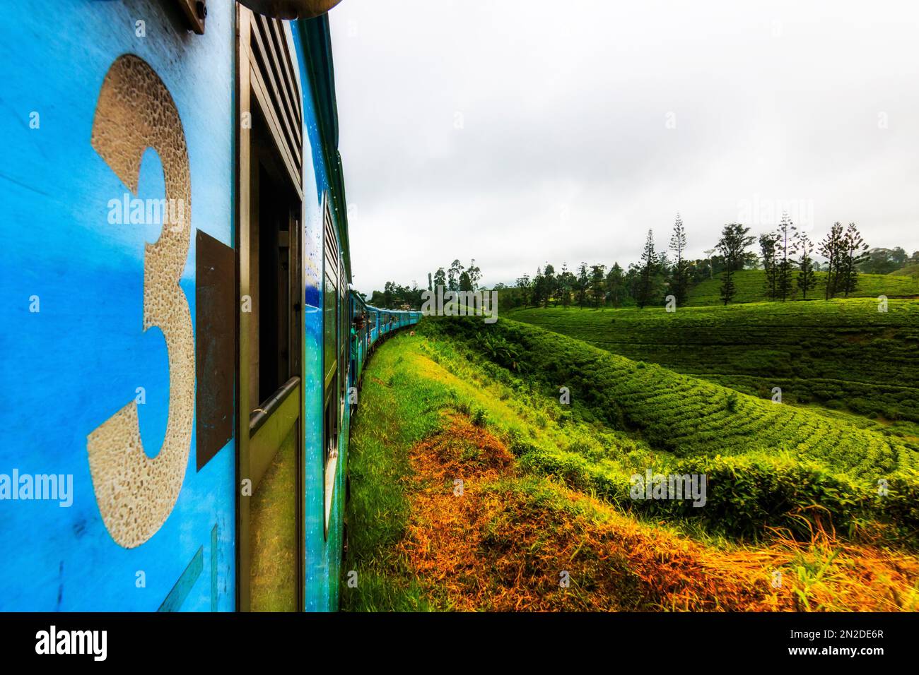 Promenade en train avec le train bleu, de Kandy à Ella, les hautes terres et les plantations de thé du Sri Lanka, Sri Lanka Banque D'Images